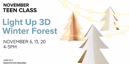 Light Up 3D Winter Forest - Teen Class