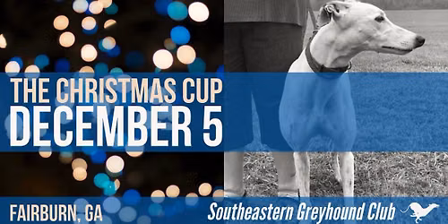 Christmas Cup - Lure Coursing