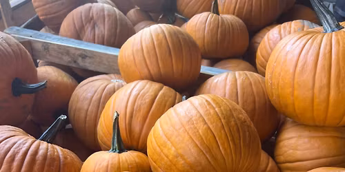 Halloweenské dýňobraní ve Vochově
