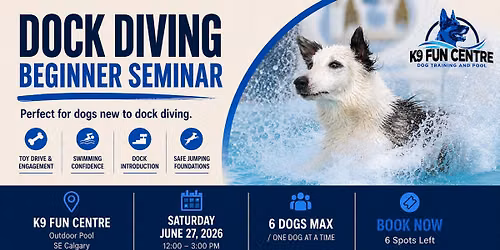 Dock Diving Beginner Seminar \u2013 June 27 \u2013 Calgary