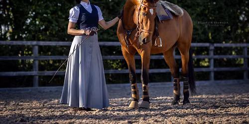 Portuguese & liberty equine photography workshop 19.09.26