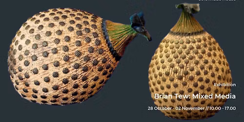 Brian Tew: Mixed Media