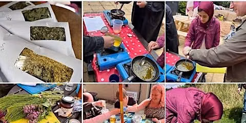 Herbal Medicine Course (Adults Only)