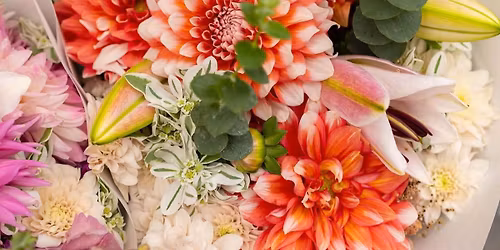 SLU Farmers Market Preview Pop-Up