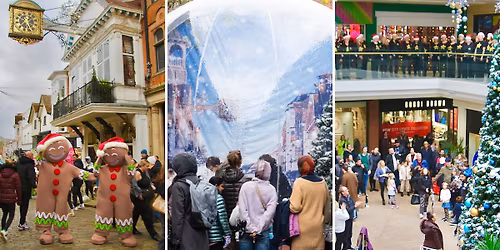 Festive Family Fun Day