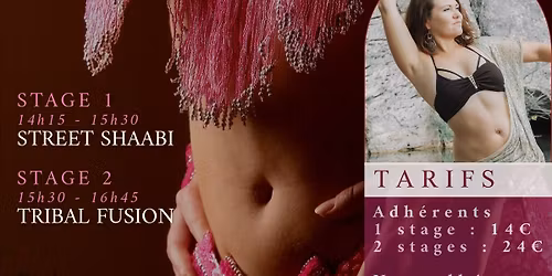Stages Danse Orientale - Samedi 23 Mai