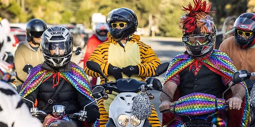 2026 Seals to Eels on Scooter Wheels