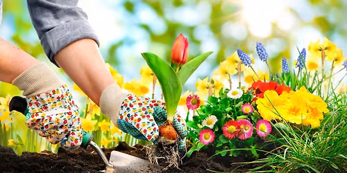 horticultural therapy