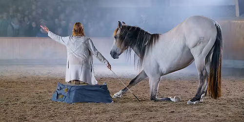 Freiheitsdressur Schweiz: \u00abManege frei\u00bb an der BEA Bern