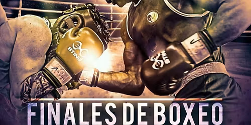 Sting Santa Cruz de Tenerife Tickets