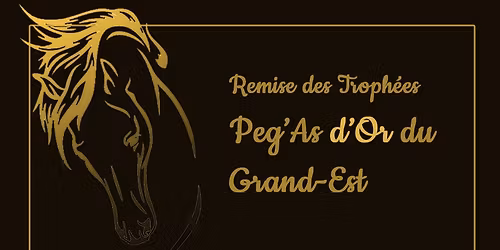 C\u00e9r\u00e9monie des Peg\u2019As d\u2019Or du Grand-Est 2025