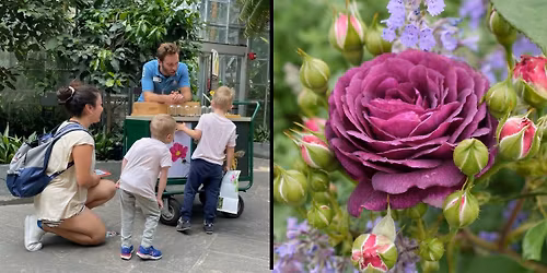 Sensory-Friendly Evening at the Garden: America's State Flowers (On-site Sensory Friendly Event)