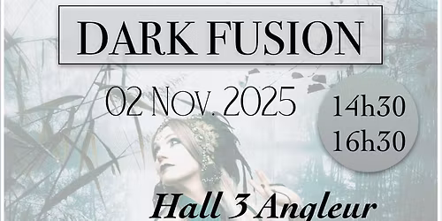 Stage de Dark Fusion