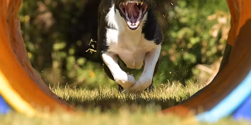 Weekend Escape: Escape Room Workshop for Break Out