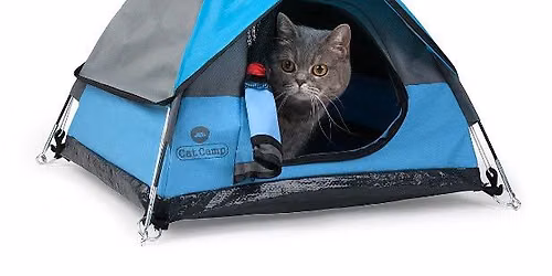 Btown Meow Kids Camp: Cats, Cookies & Beads!