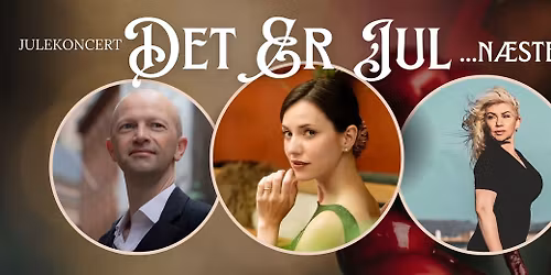 DET ER JUL... N\u00e6sten (Pr\u00e6stebro Kirkes Julekoncert)