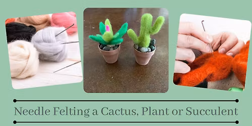 Felted Plants = Stab Wool + Shape a Cactus, Plant or Succulent + Plant It in a Pot