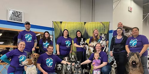 Lake Effect Flyballs 3rd annual Ice JAMboree Tournament \u2744\ufe0f