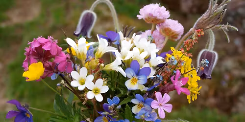 AKS Moss v\u00e5rkonsert: Kom hj\u00e4rtans fr\u00f6jd!