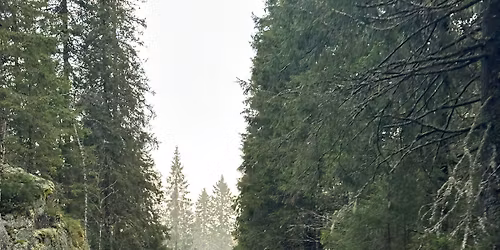 Mid-Winter Patrol 2025