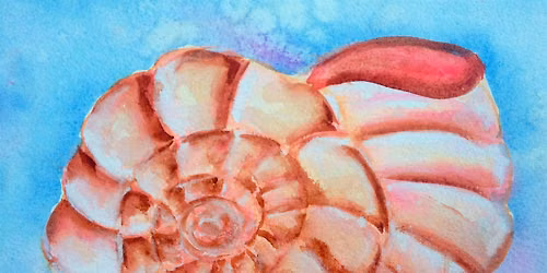 Watercolor Shell Close Ups