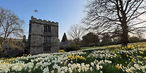 Wellbeing Walk to Cotehele House Blossom Festival