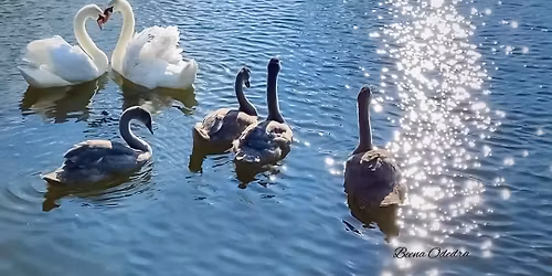 Oakley Vale Community Association - Public General meeting