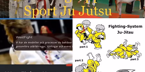 Barngrupp Sport Ju Jutsu