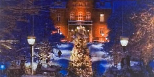 JULETREFEST I FESTIVITETEN