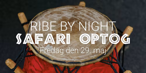 Ribe By Night - Deltag i Safari optog