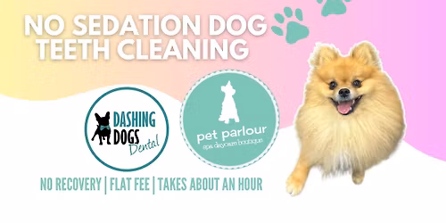 Pet Teeth Cleaning Event - Vancouver