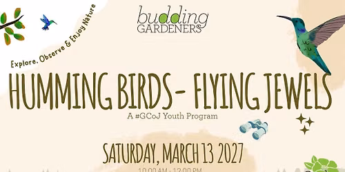 Budding Gardeners: Humming Birds - Flying Jewels