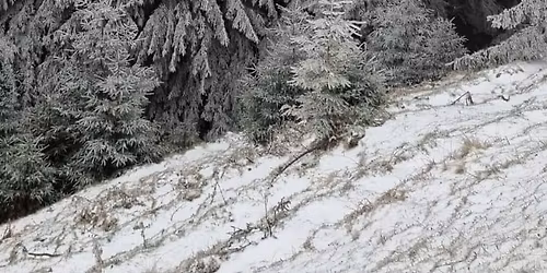 Drumetie \ud83d\udd34 100 lei de iarn\u0103 Magura - Pestera