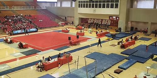 Lindenwood Lions at Missouri State Bears Mens Basketball