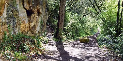 LA PUYMOYENNAISE 2026