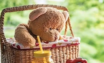 Storytime Picnic
