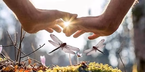 Reiki Therapy & Dry Cupping with Carolyn (Okemos)