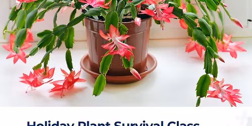 Holiday Plant Survival Class (Bellview)
