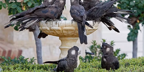 Lake Joondalup - morning excursion