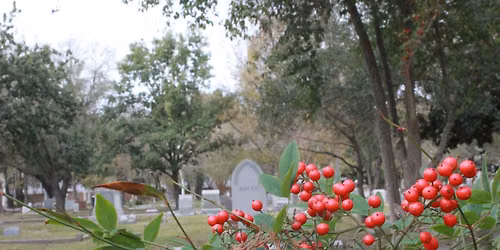 Art in the A.M. Glenwood Cemetery