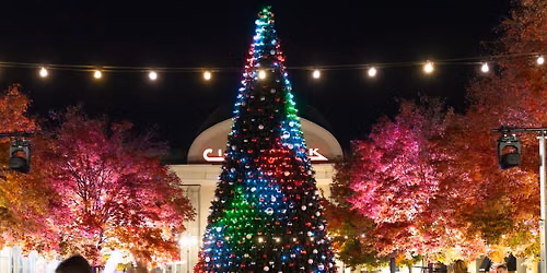 Merry & Bright Night (Tree Lighting) 