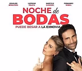 PUNTO DE FOCO:  Ludwika Paleta| Noche de bodas