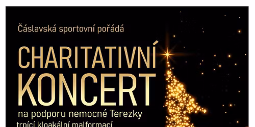 VOJTA NEDV\u011aD- Charitativn\u00ed koncert v kostele sv. Petra a Pavla v \u010c\u00e1slavi.
