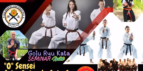 Goldenfist USA GOJU Akijitsu seminar