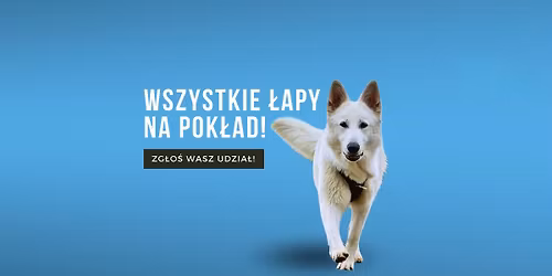 Wuchta \u0141ap Dogtrekking Pozna\u0144