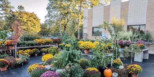 Fall Plant Sale