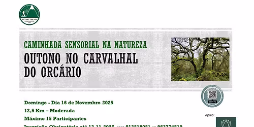 OUTONO NO CARVALHAL DO ORCARIO