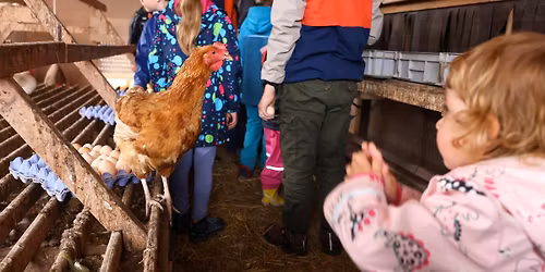 \ud83d\udc23 Exp\u00e9rience de P\u00e2ques \u00e0 la ferme Kass-Haff\ud83d\udc2e\ud83d\udc14\ud83d\udc25