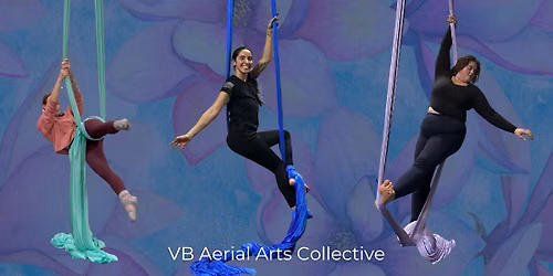Beginner Aerial Silk Class Wednesdays @630pm