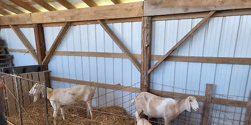 Saturday at the CPA & Consignment Auction